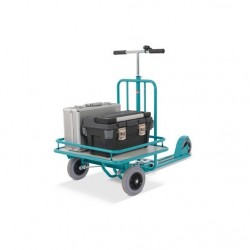 Ameise scooter with platform