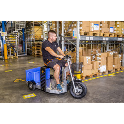 Platform Scooter eTRIKE PLS 175